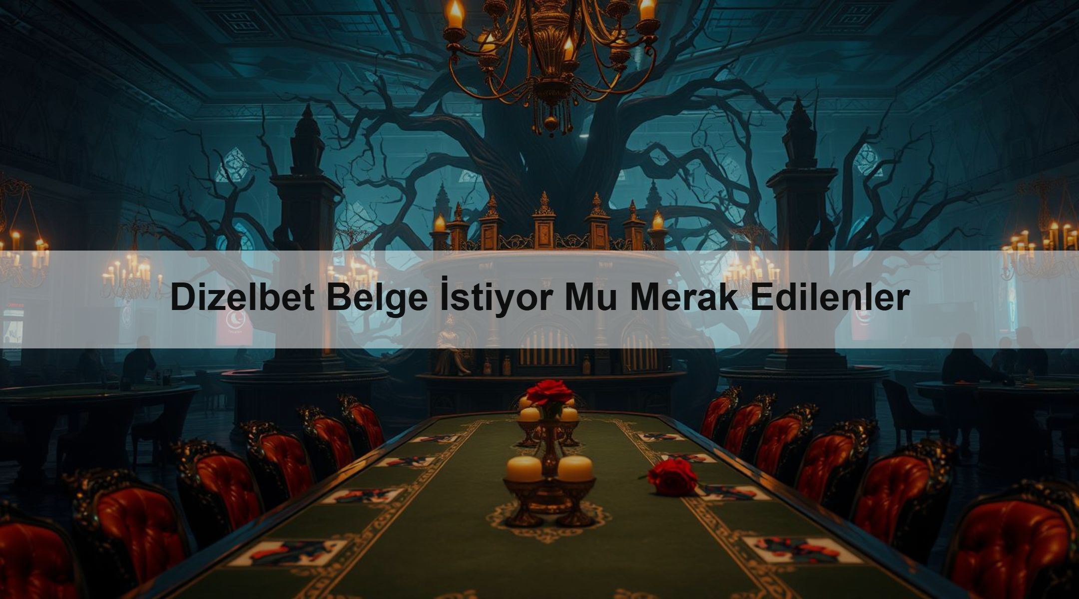 Dizelbet Belge İstiyor Mu Merak Edilenler