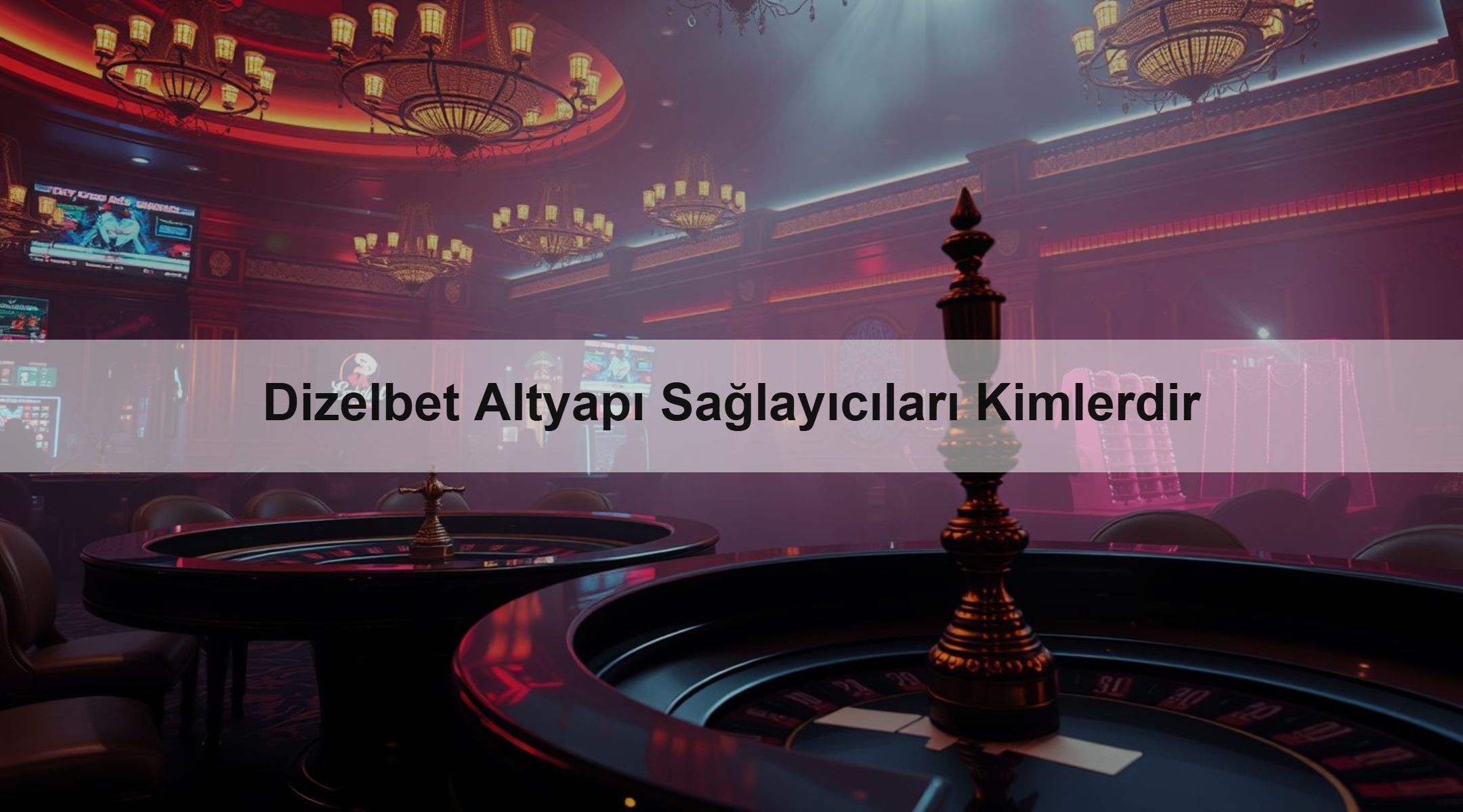 Dizelbet Altyapı Sağlayıcıları Kimlerdir